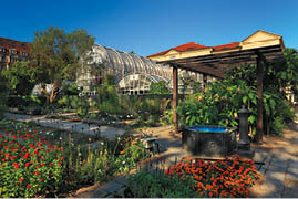 Fotografoval: Libor Svacek, Kaplicka 447, Cesky Krumlov, 381 01 CZ