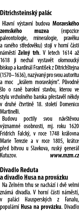  Ditrichsteinsk pal c Hlavn  v stavn  budova Moravsk ho zemsk ho muzea (expozice paleontologie, mineralogie, prav ku...