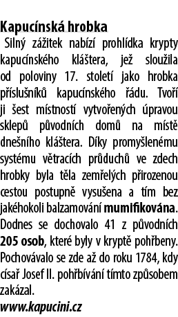  Kapuc nsk hrobka Siln  z  itek nab z  prohl dka krypty kapuc nsk ho kl  tera, je  slou ila od poloviny 17. stolet  ...