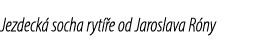 Jezdeck socha ryt  e od Jaroslava R ny 