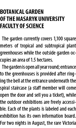  BOTANICAL GARDEN OF THE MASARYK UNIVERSITY FACULTY OF SCIENCE The garden currently covers 1,100 square meters of tro...
