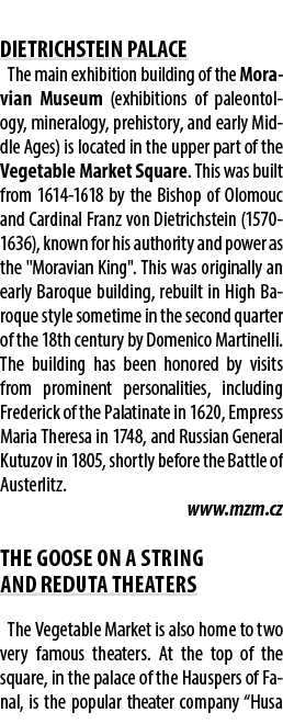  DIETRICHSTEIN PALACE The main exhibition building of the Moravian Museum (exhibitions of paleontology, mineralogy, p...