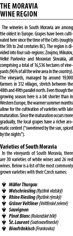 THE MORAVIA WINE REGION The wineries in South Moravia are among the oldest in Europe. Grapes have been cultivated her...