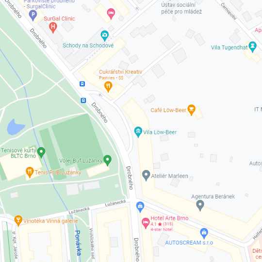 Vila Löw-Beer, zdroj: Google maps